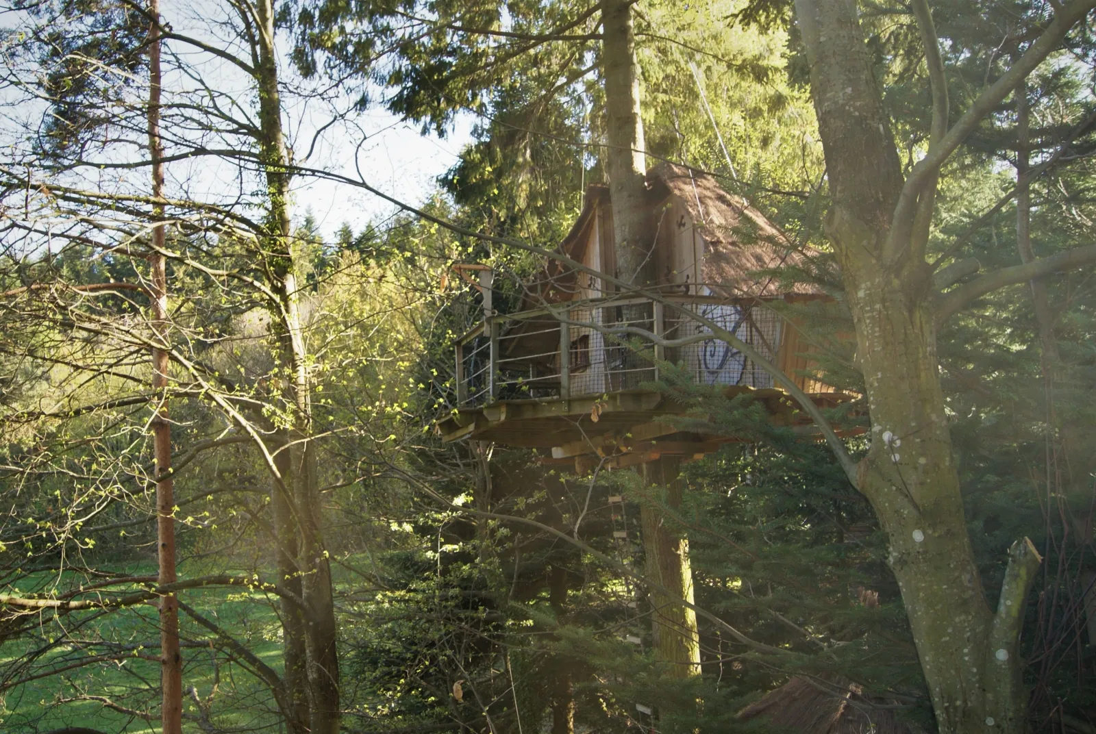 Cabane Écureuil, cabane à Belsentes