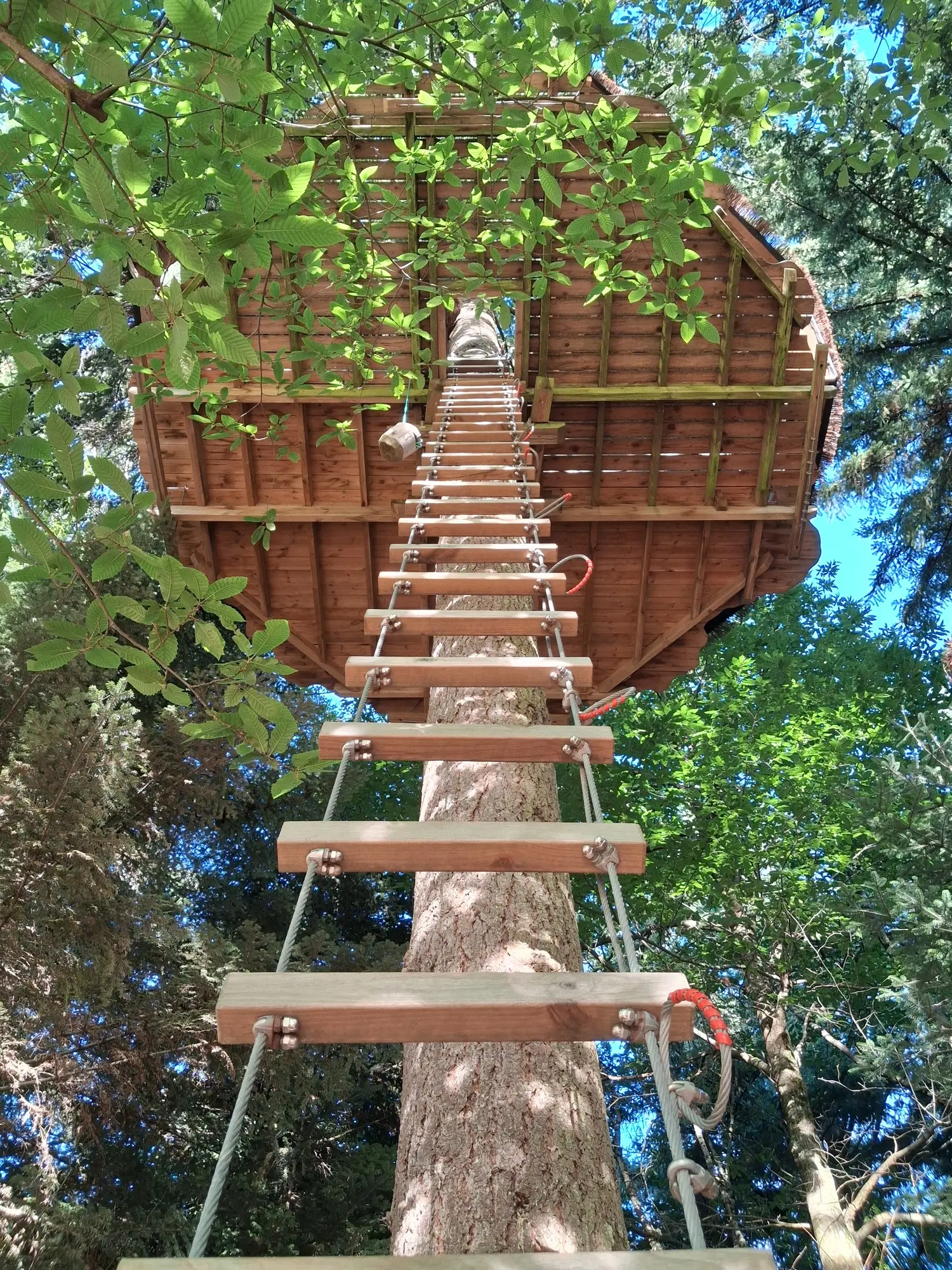 Cabane Écureuil à Belsentes, photo 2