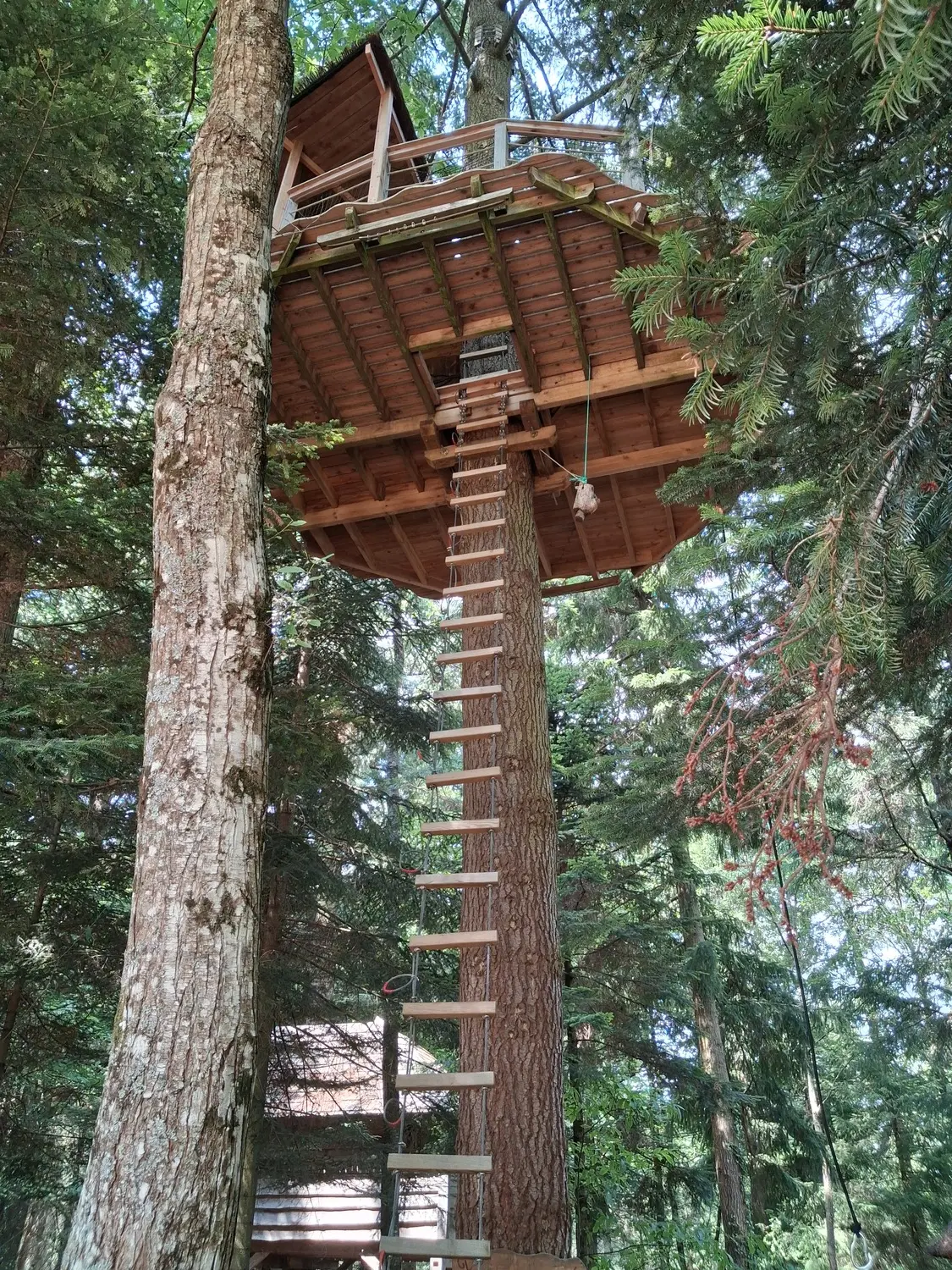 Cabane Écureuil à Belsentes, photo 6