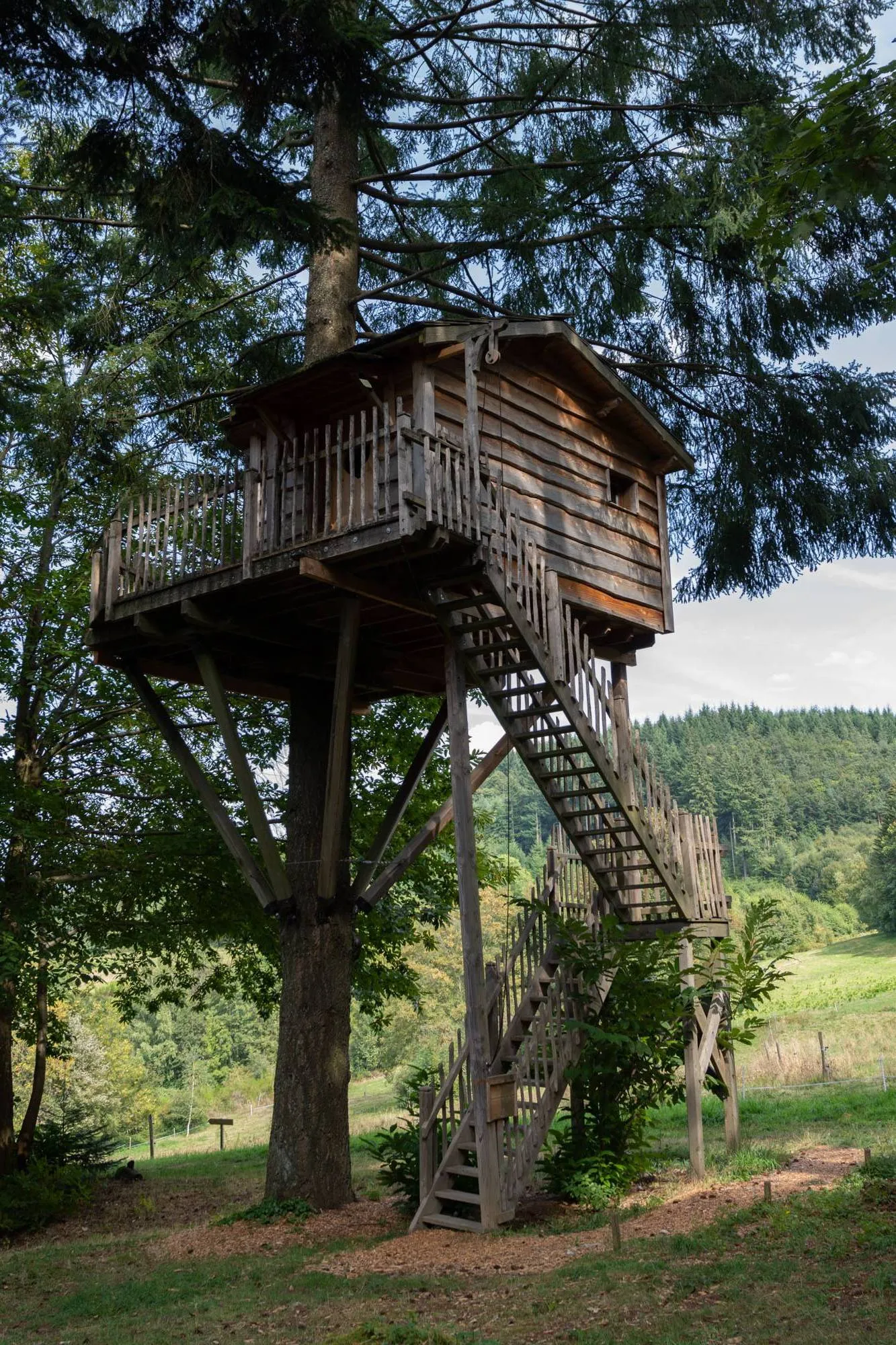 Cabane Hérisson à Belsentes, photo 7