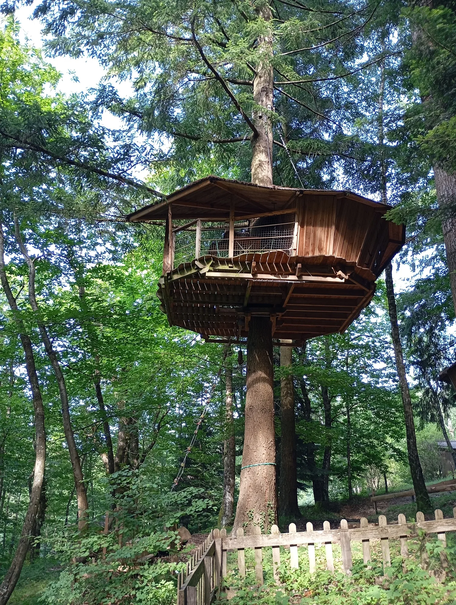 Cabane Hibou, cabane à Belsentes