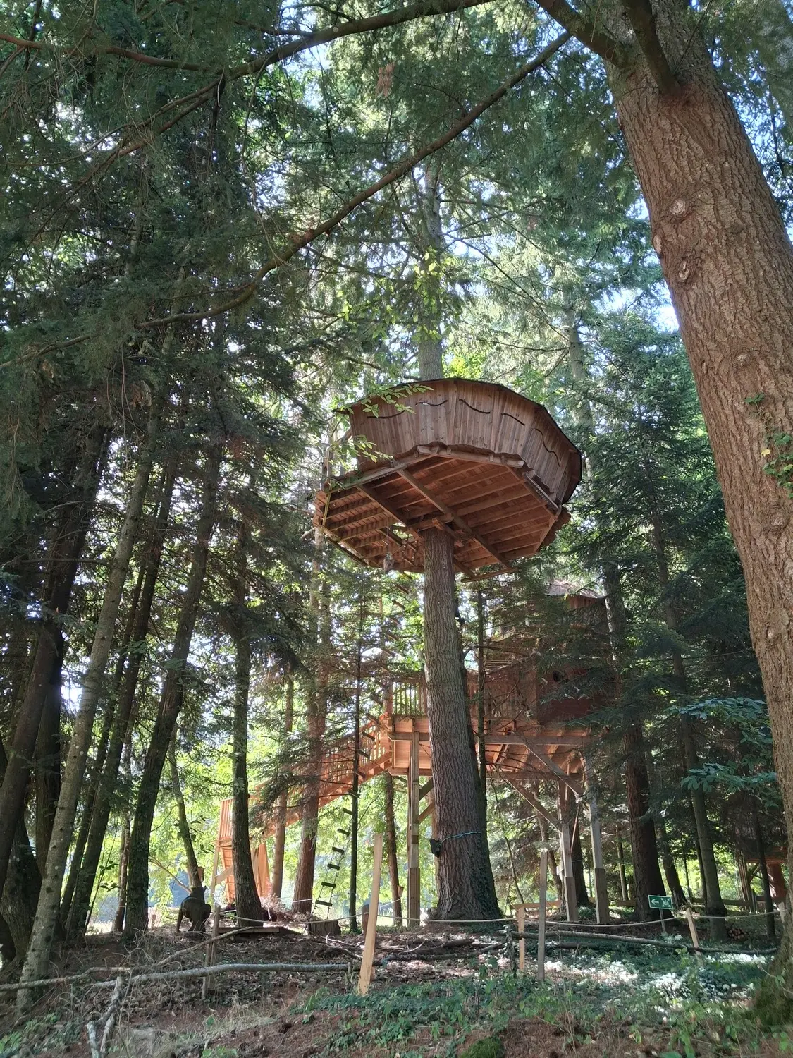 Cabane Renard, cabane à Belsentes