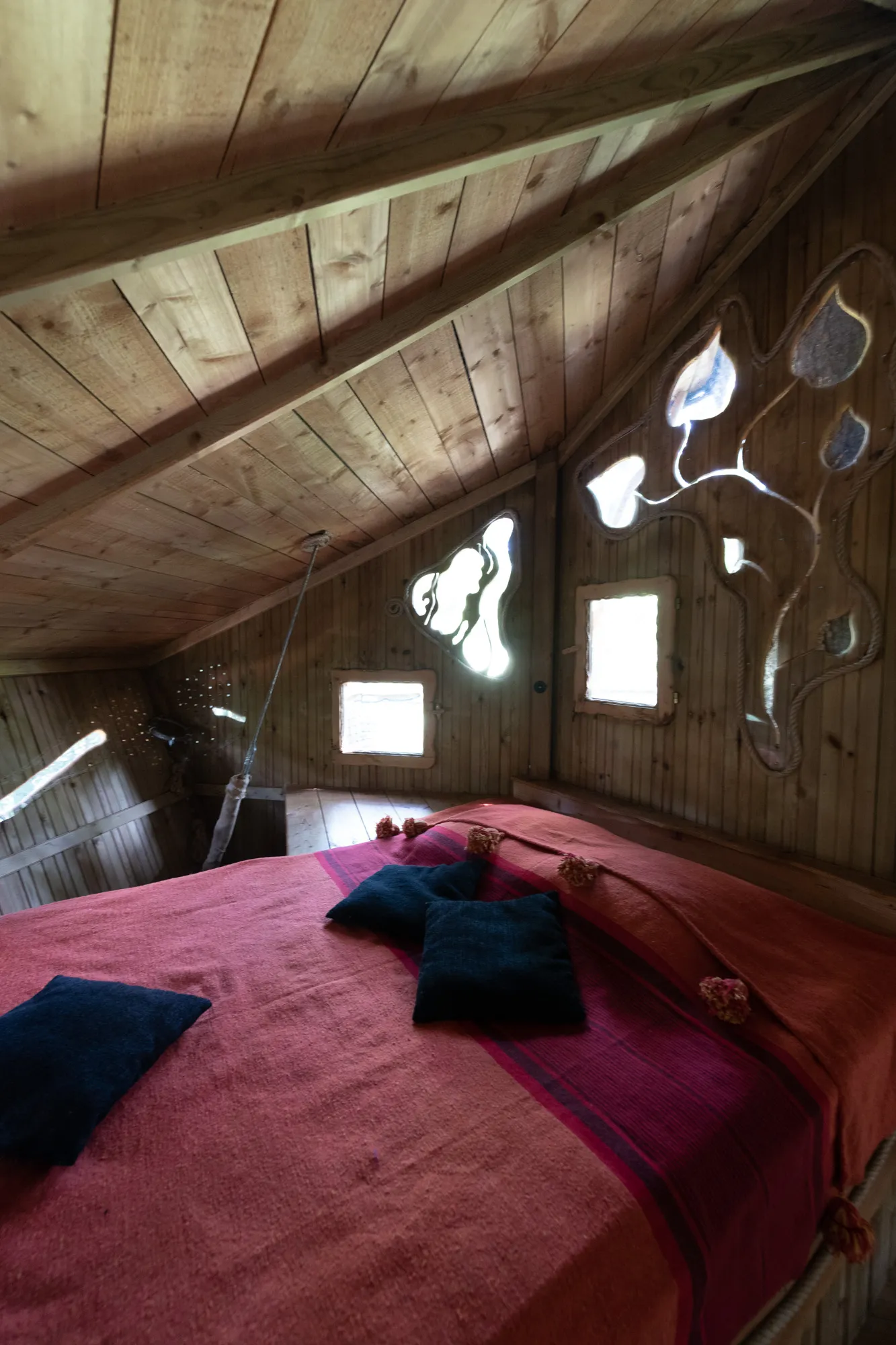 Cabane Renard à Belsentes, photo 7