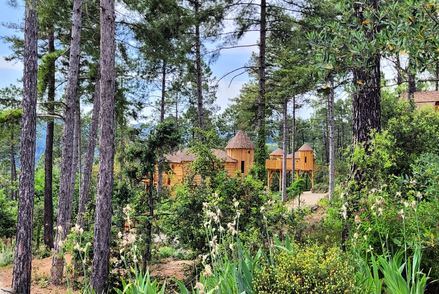 Cabane Cupidon à Les Salelles, photo 4