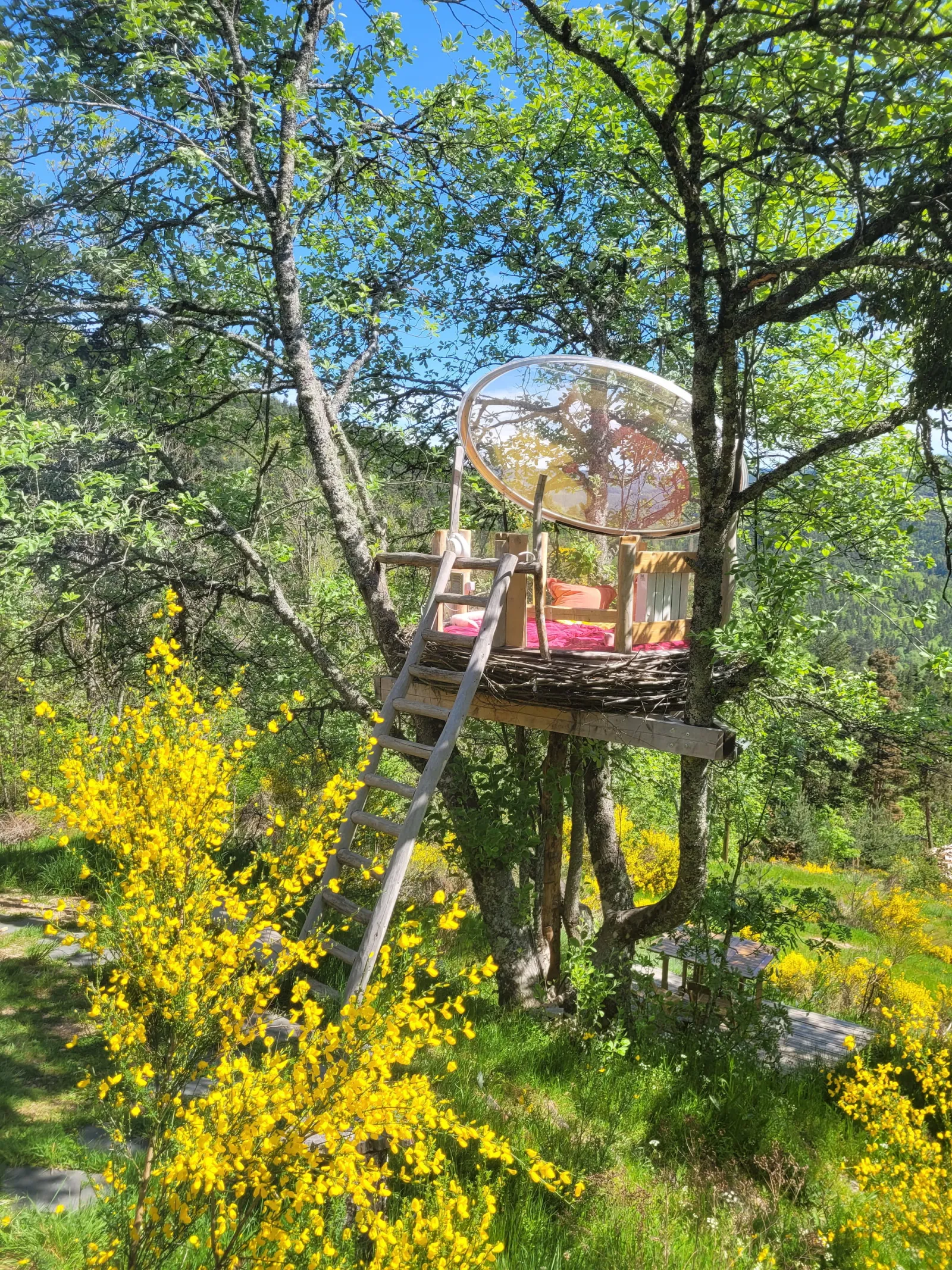 Le Nid, cabane à Rochepaule