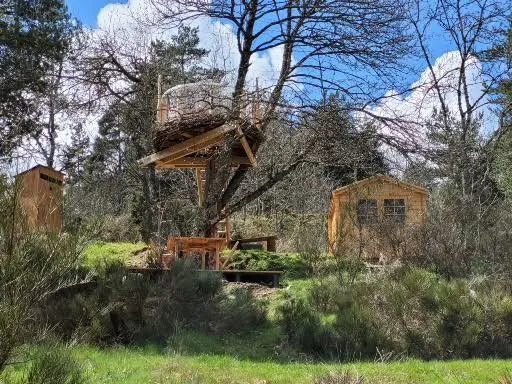 Le Nid à Rochepaule, photo 6