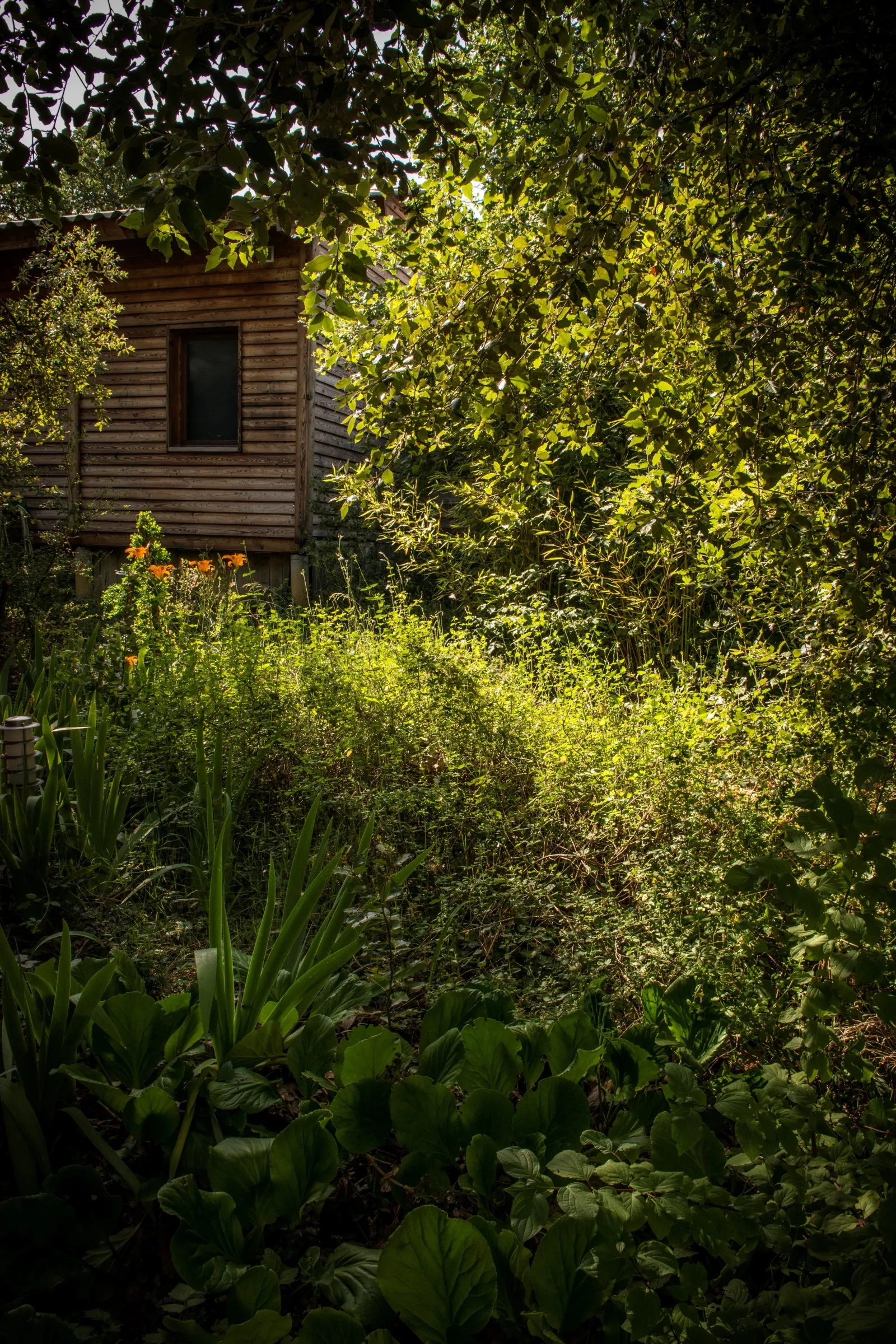 Cabane du Loriot à Saint-Remèze, photo 6