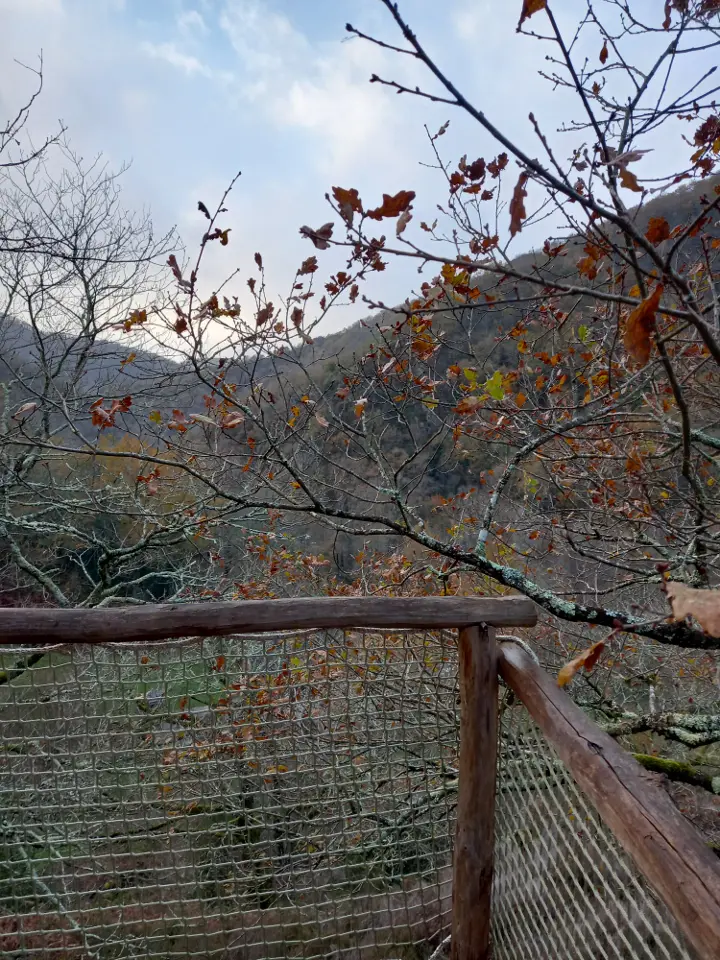 Cabane de Campo à Vieillevie, photo 7