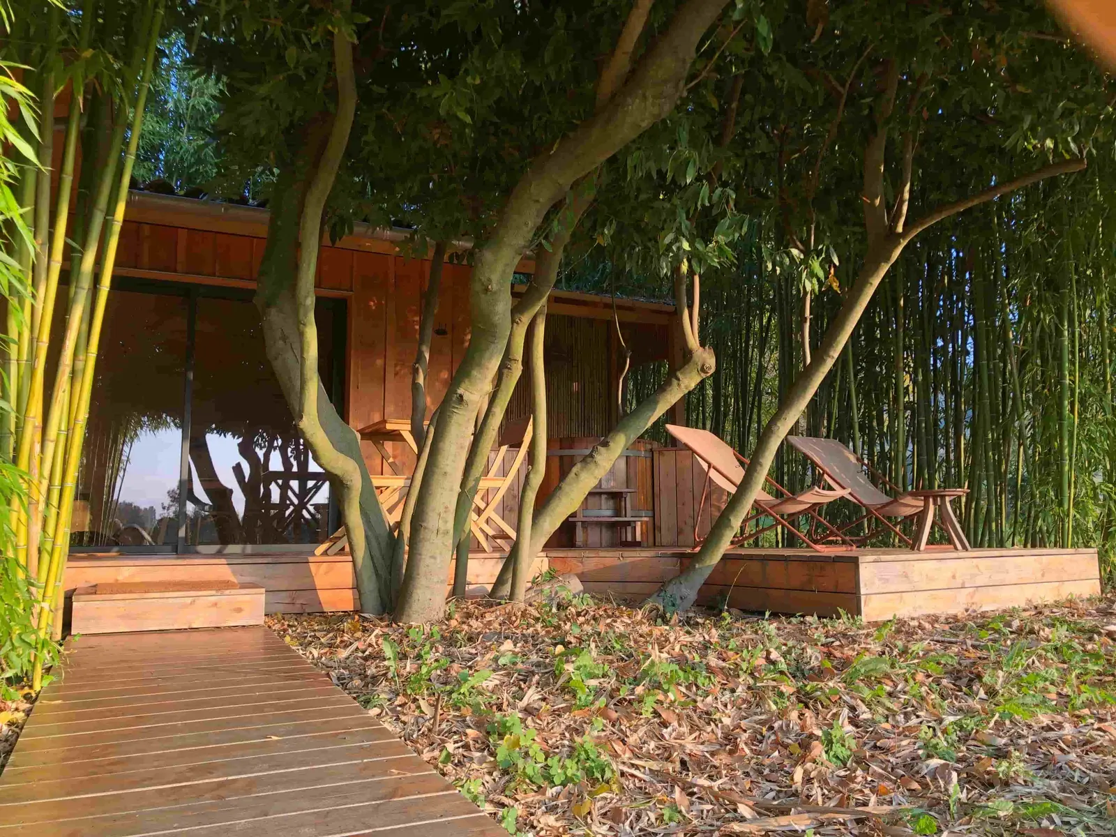 Cabane Spa Bambou, cabane à La Bégude-de-Mazenc
