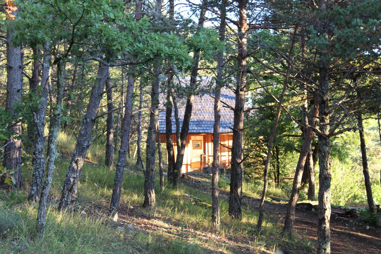 La Cabane du Bois à Saint-Nazaire-le-Désert, photo 2