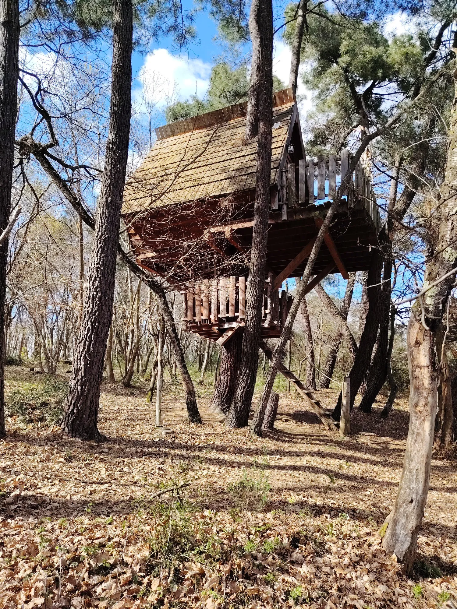 Cabane Nid d'Oiseaux, cabane à Saint-Donat-sur-l'Herbasse