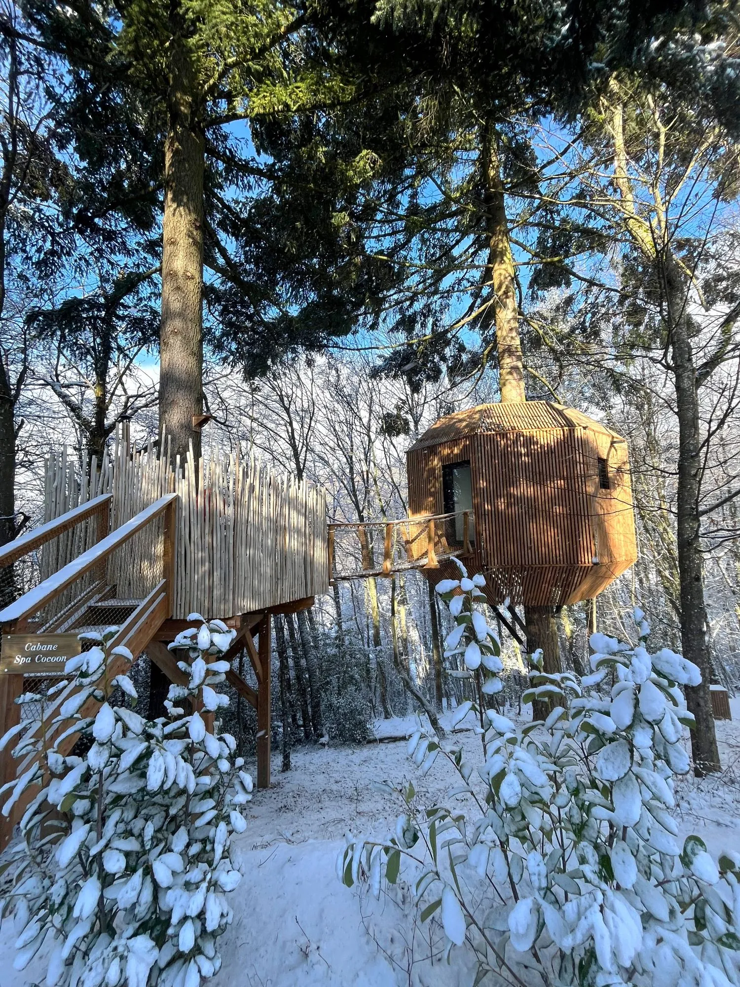 Cabane Cocoon à Gillonnay, photo 2