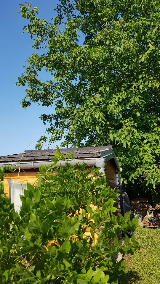 Cabane du verger à Essertenne-et-Cecey, photo 6