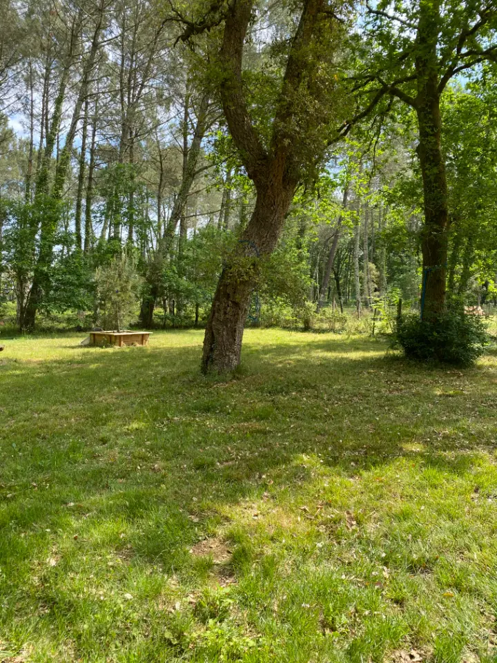 La Cabane d'Azur à Azur, photo 2