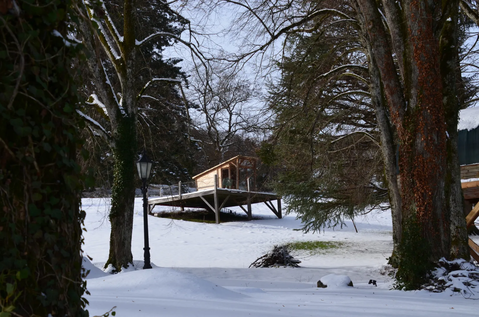 La Cabane Étoilée à Merlas, photo 7