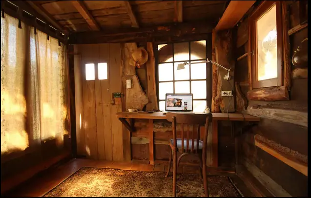 La Cabane des Deux Muses à Bussières, photo 3