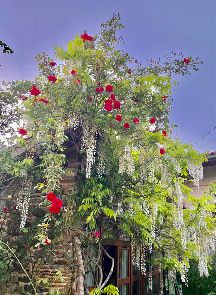 La Cabane des Deux Muses à Bussières, photo 4
