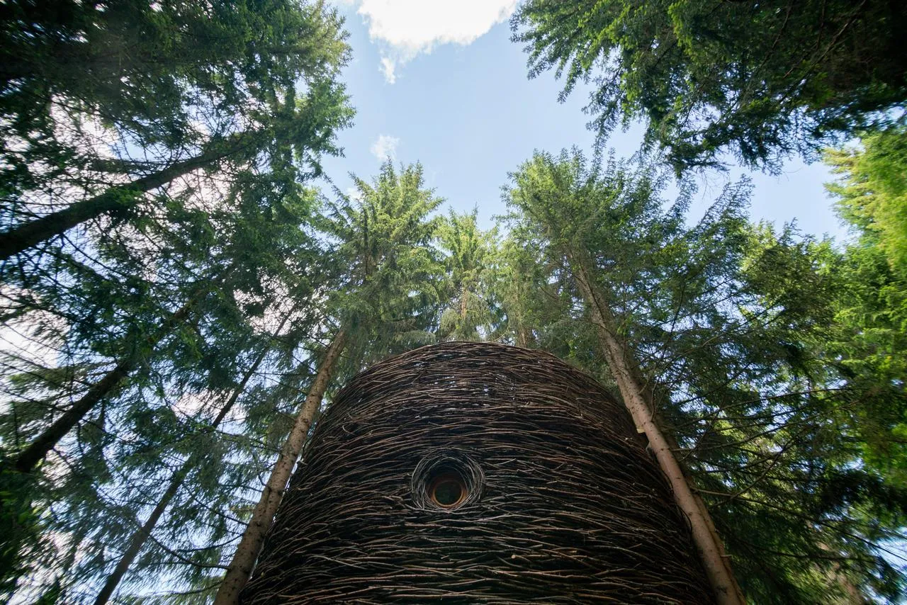 Cabane Nid à Saint-Nicolas-la-Chapelle, photo 6