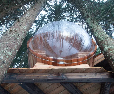 Cabane Spa Mont-Blanc à Saint-Nicolas-la-Chapelle, photo 6