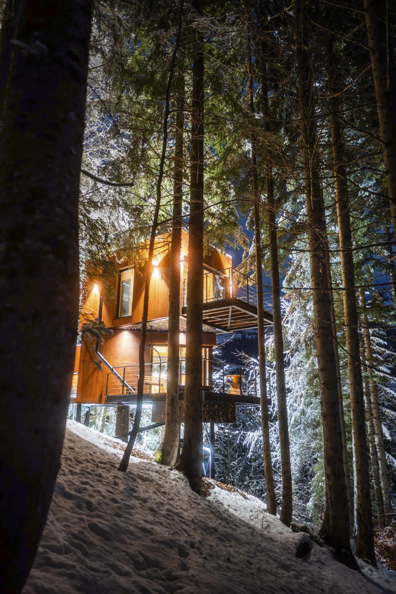 Cabane À la Belle Étoile à Saint-Nicolas-la-Chapelle, photo 6