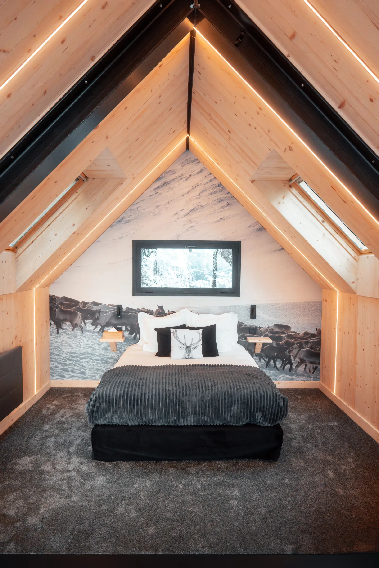 Cabane Scandinave à Saint-Nicolas-la-Chapelle, photo 6