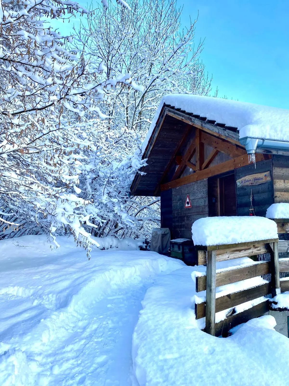 La Cabane d'Ernestine à Les Villards-sur-Thônes, photo 3