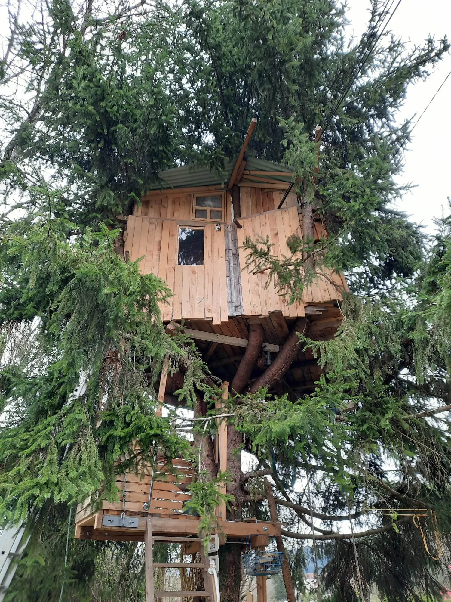 Cabane au centre du sapin, cabane à Vaire