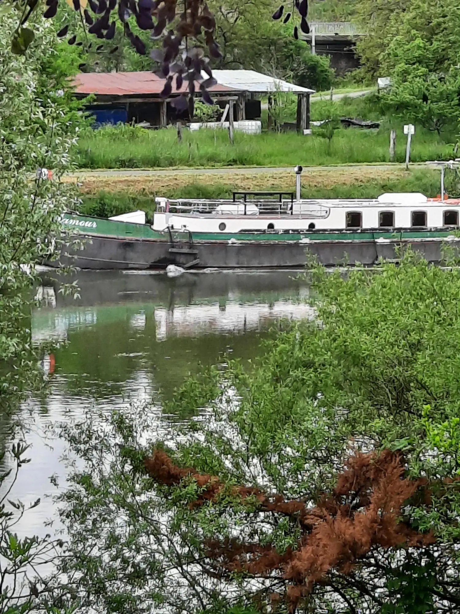 Cabane au centre du sapin à Vaire, photo 6
