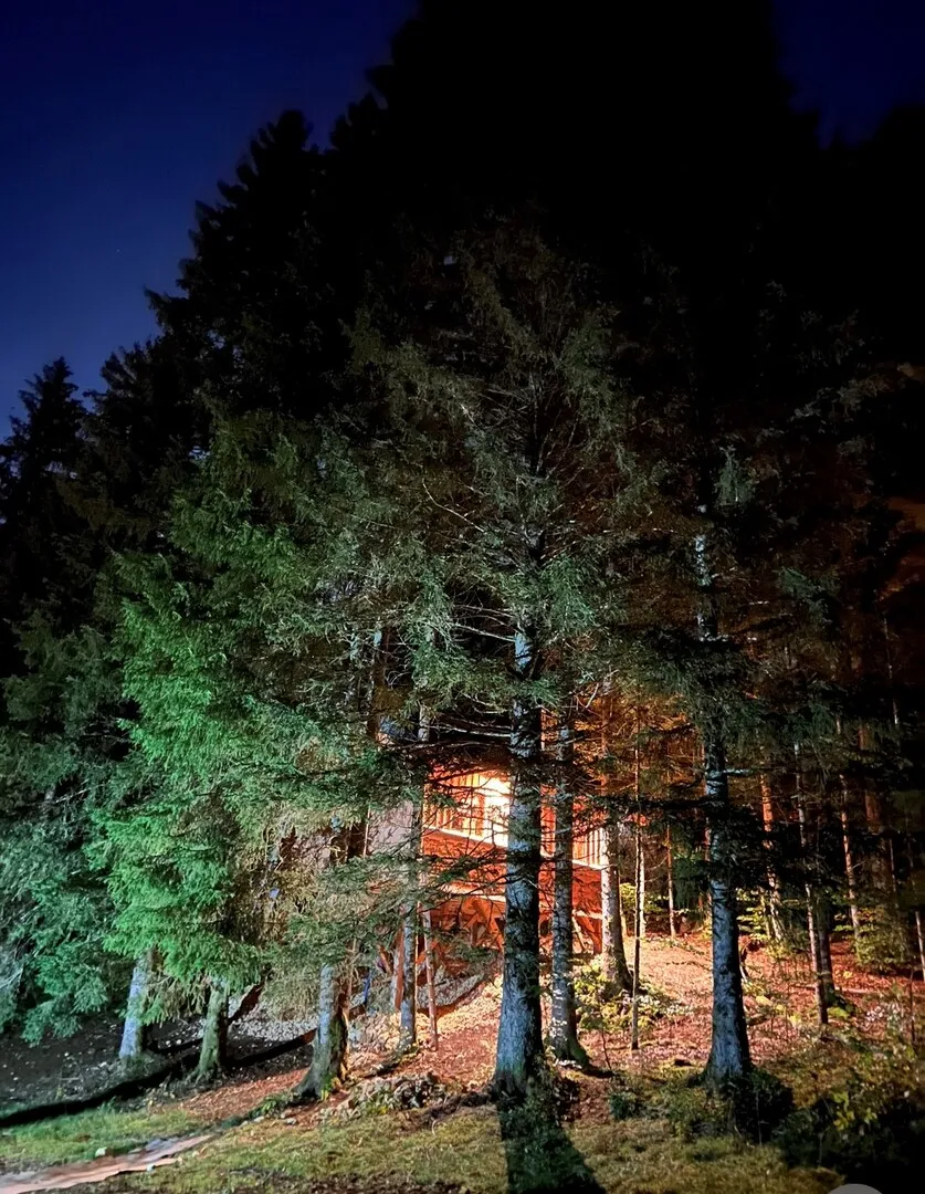 Cabane Champvent à Petite-Chaux, photo 4
