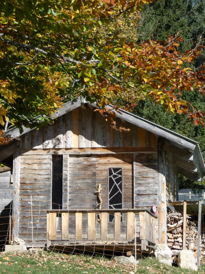 Cabane des chiens de traîneau à Lamoura, photo 2