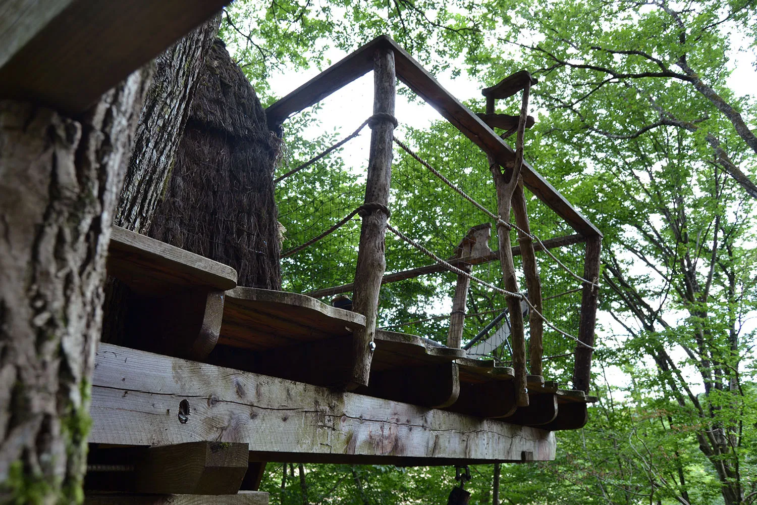 Cabane Canopée à Ranchot, photo 3