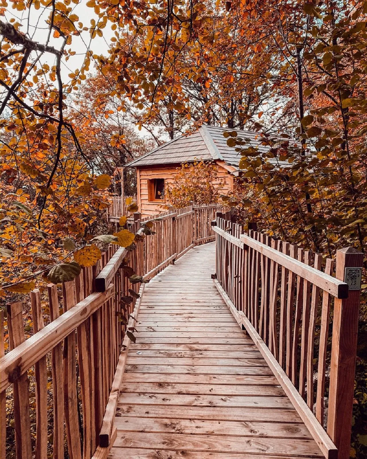 Cabane Spa Écureuil à Bonlieu, photo 4
