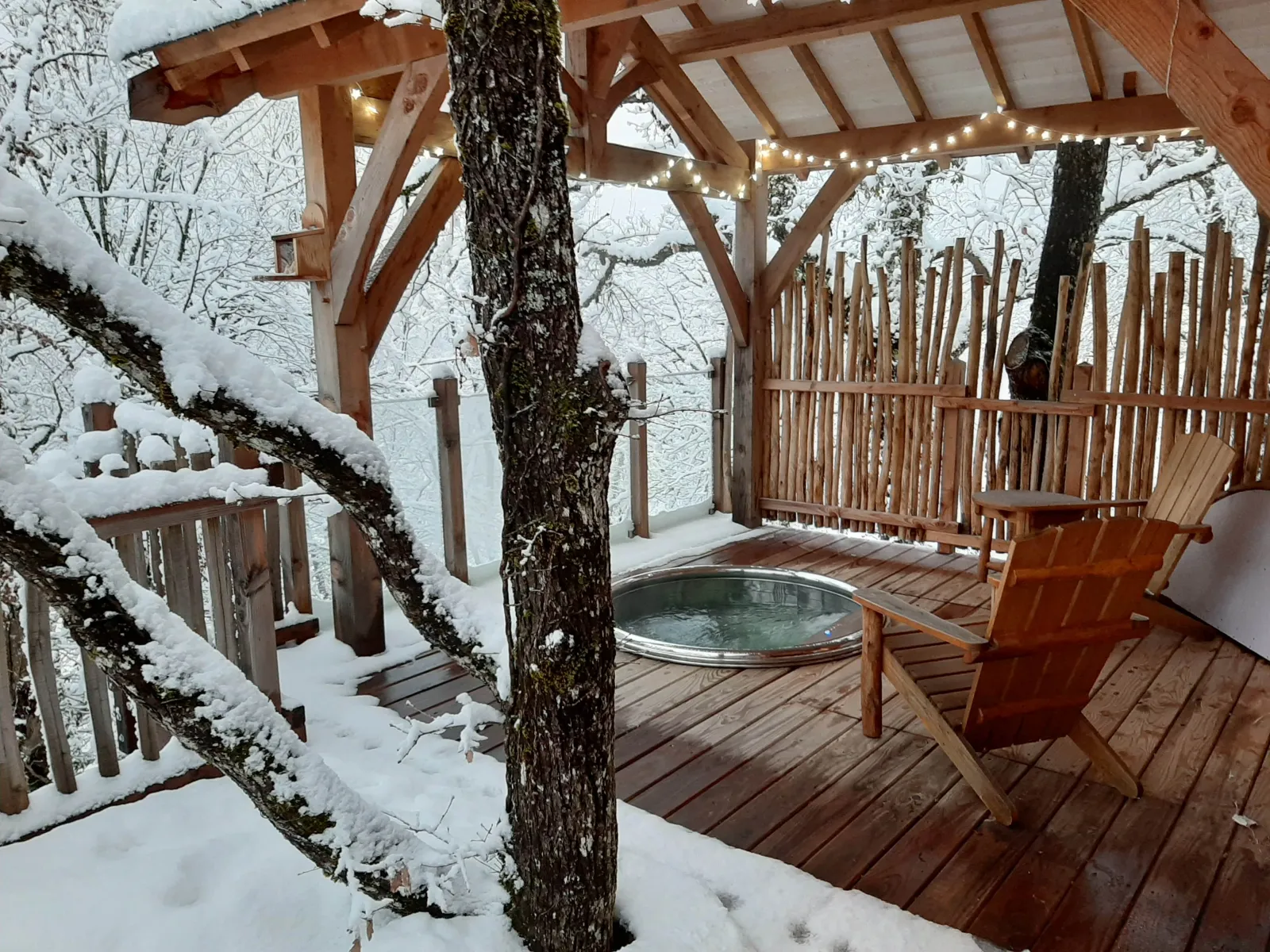 Cabane Spa Écureuil à Bonlieu, photo 7