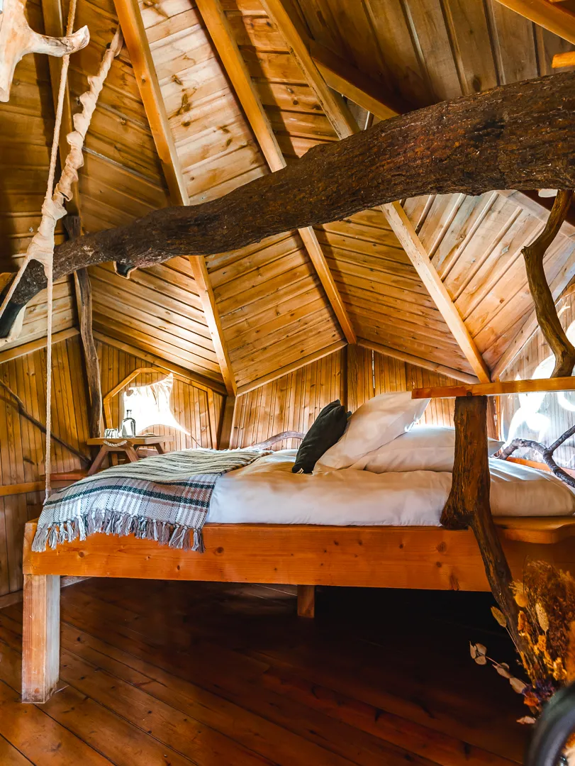 Cabane Spa Murmures à Chassey-lès-Montbozon, photo 2