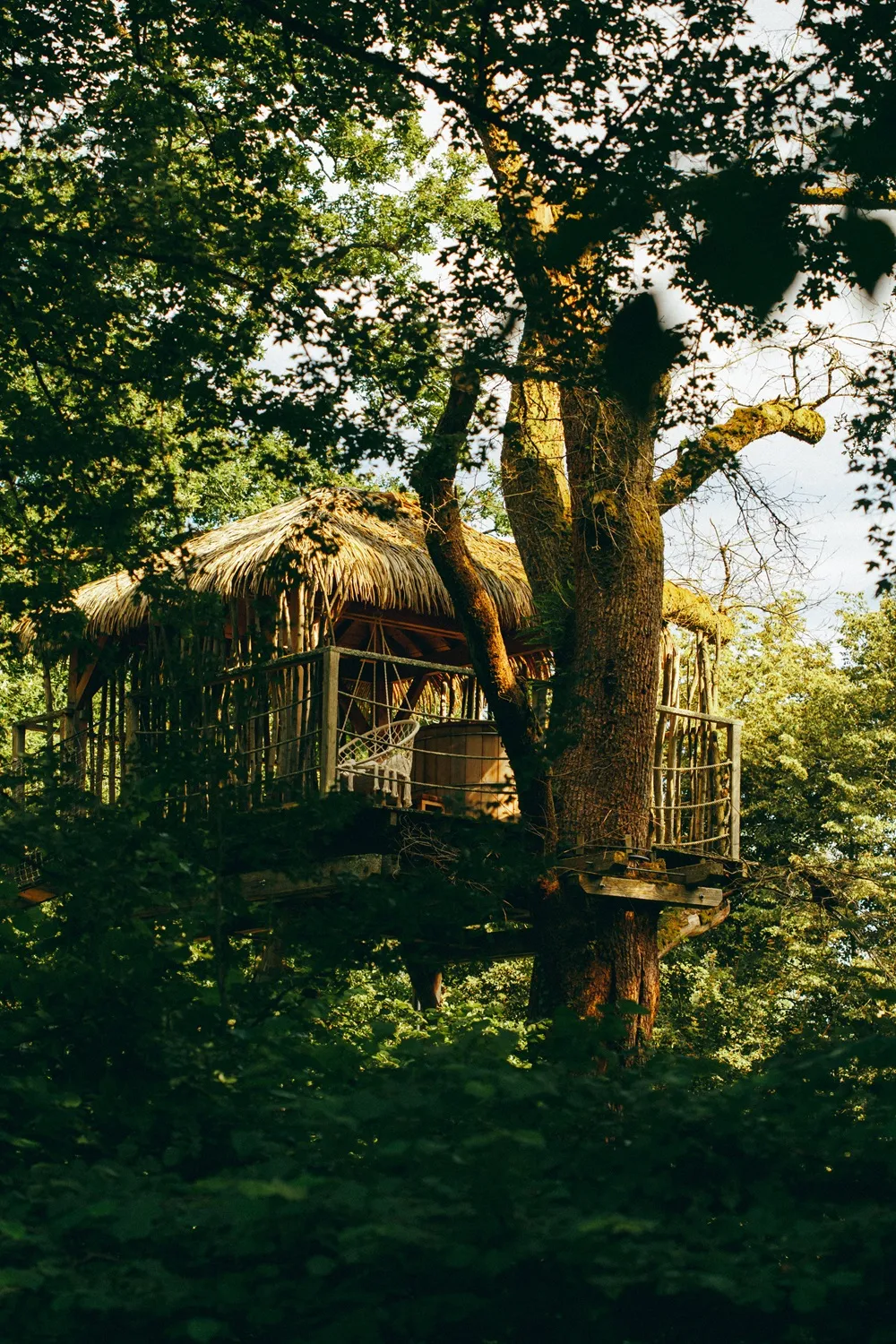 Cabane Spa Murmures à Chassey-lès-Montbozon, photo 7