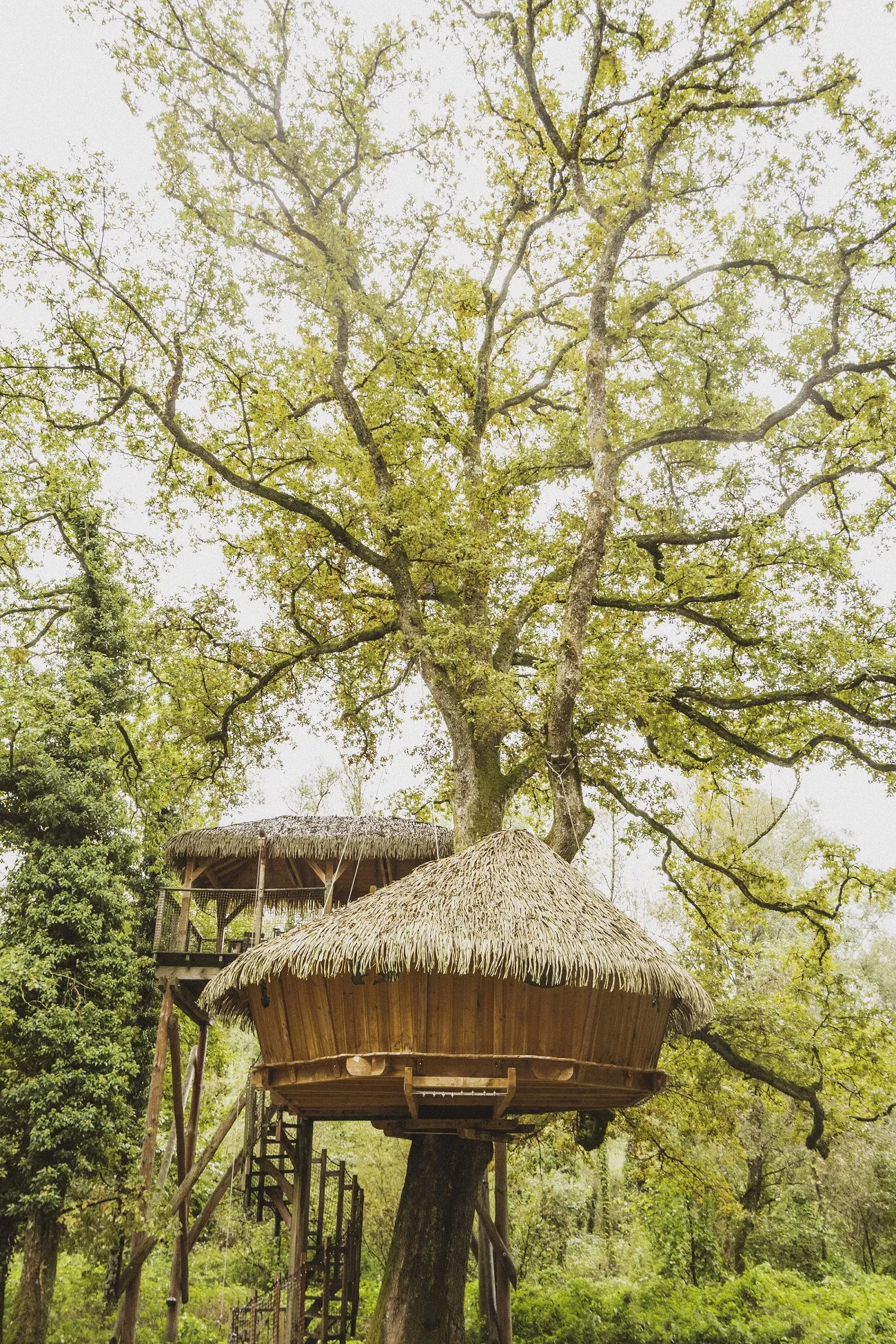 Cabane Spa Rêveuse à Chassey-lès-Montbozon, photo 6
