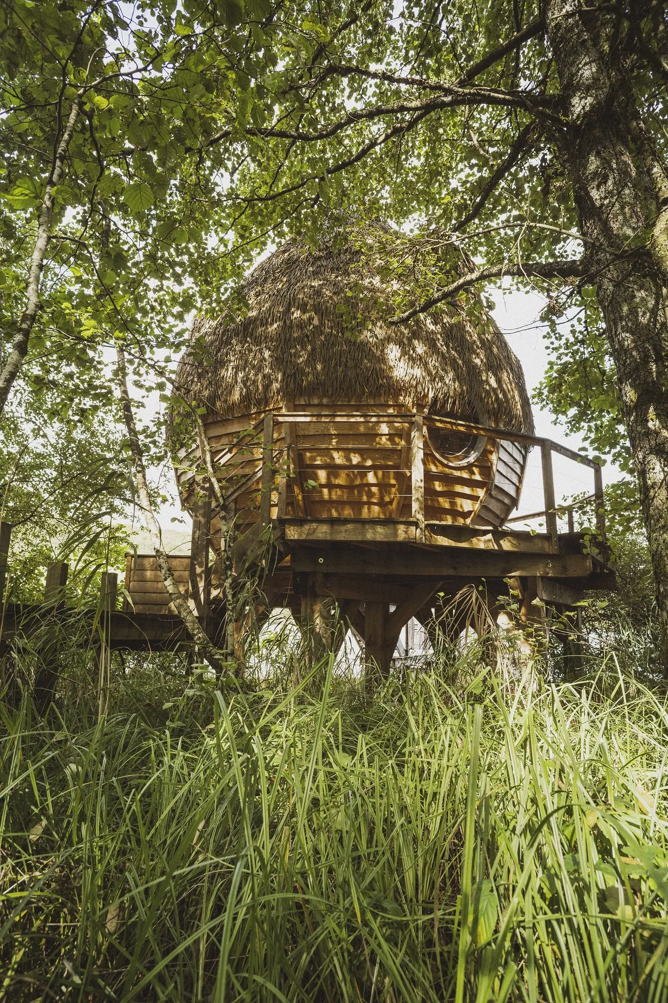 Cabane Spa Songe à Chassey-lès-Montbozon, photo 4
