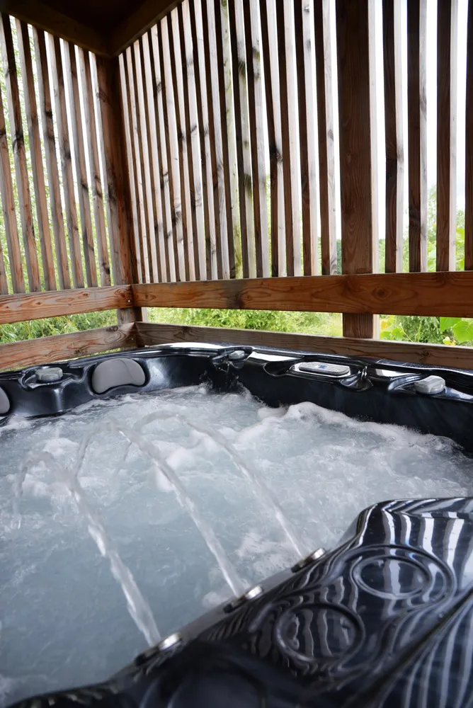 Lodge pilotis Vaudésir à Chablis, photo 6