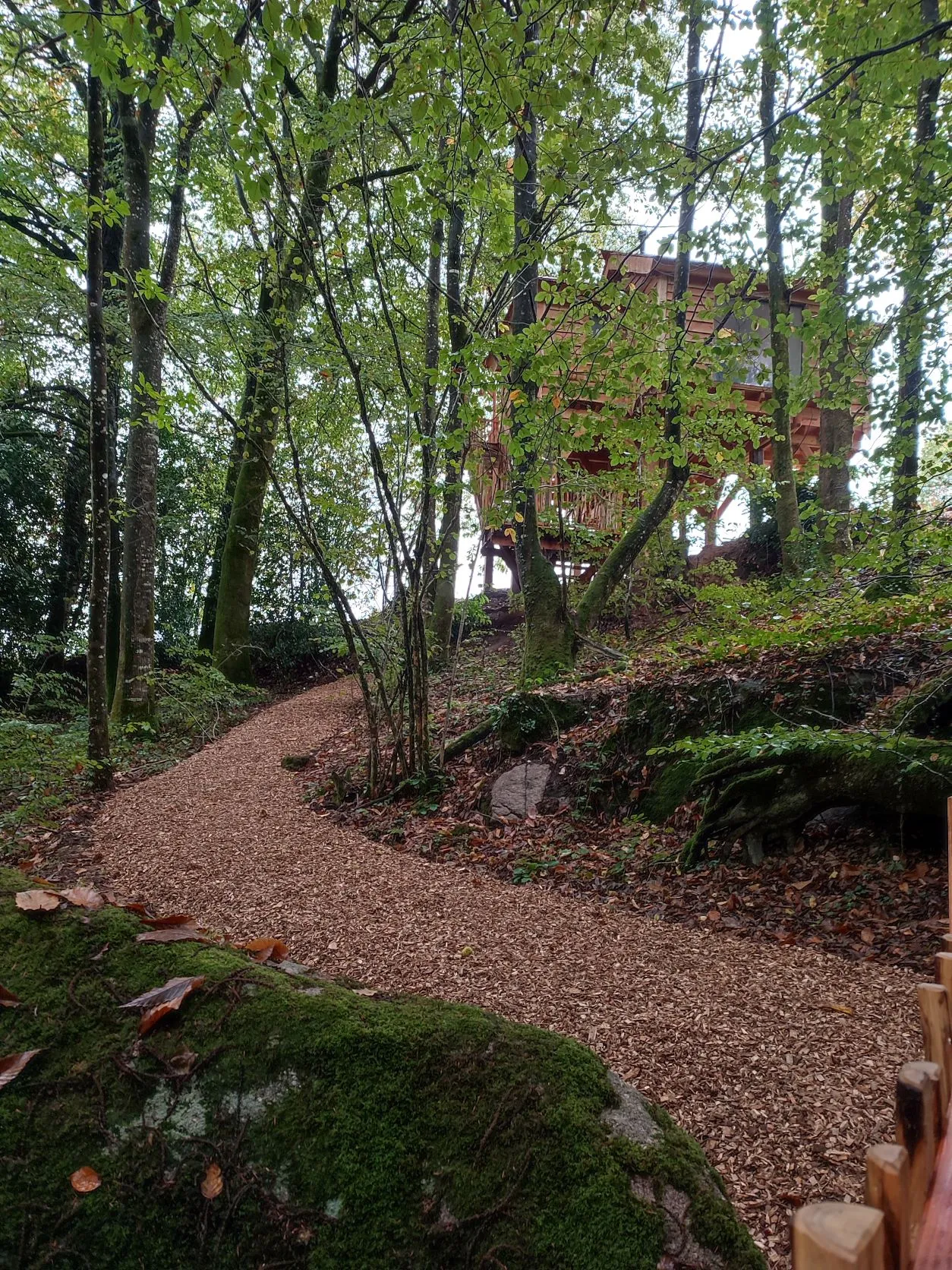 La Cabane Perchée à Gomené, photo 7