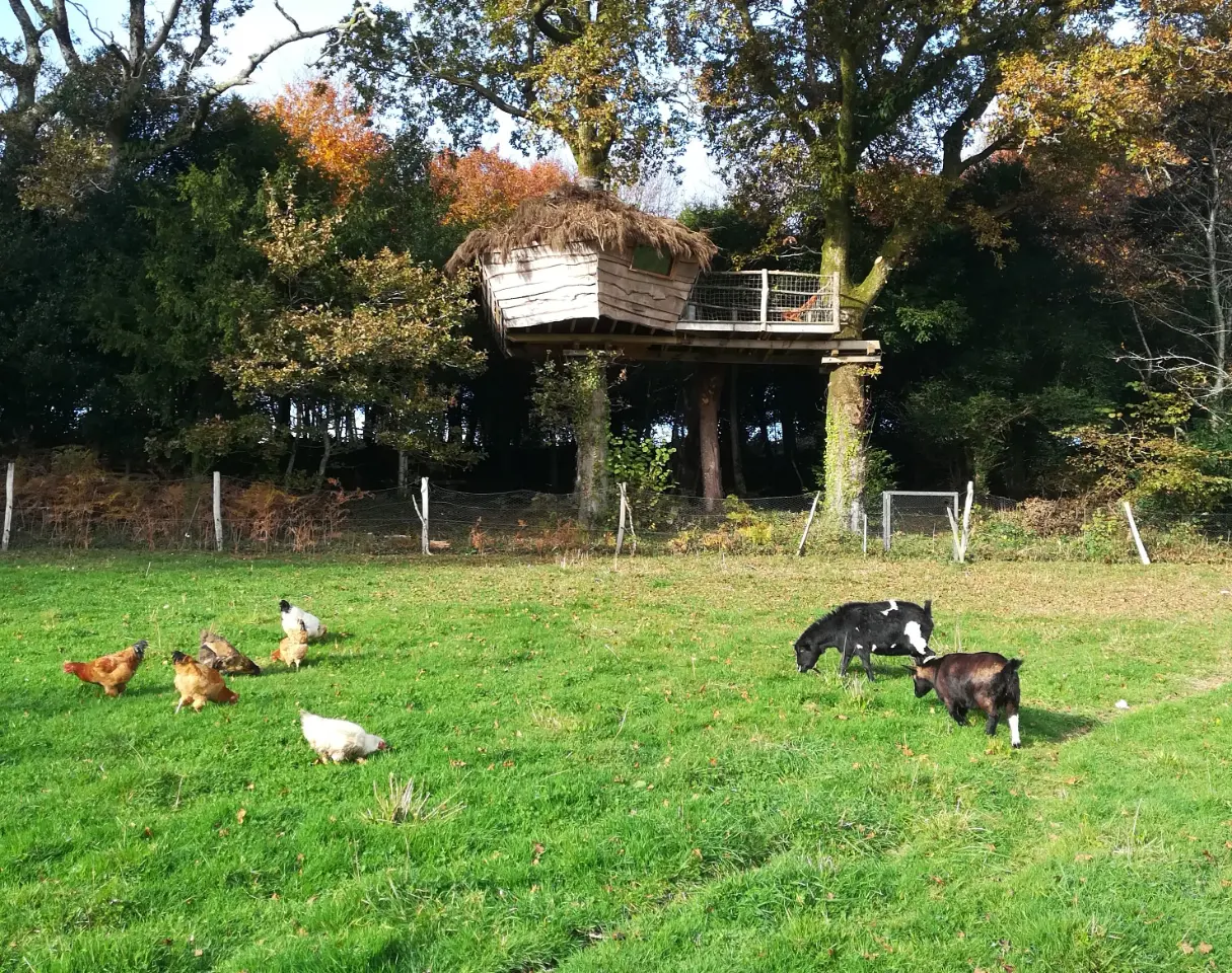 Perché de nature, cabane à Lopérec
