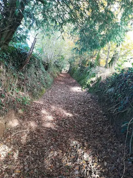 Perché de nature à Lopérec, photo 4