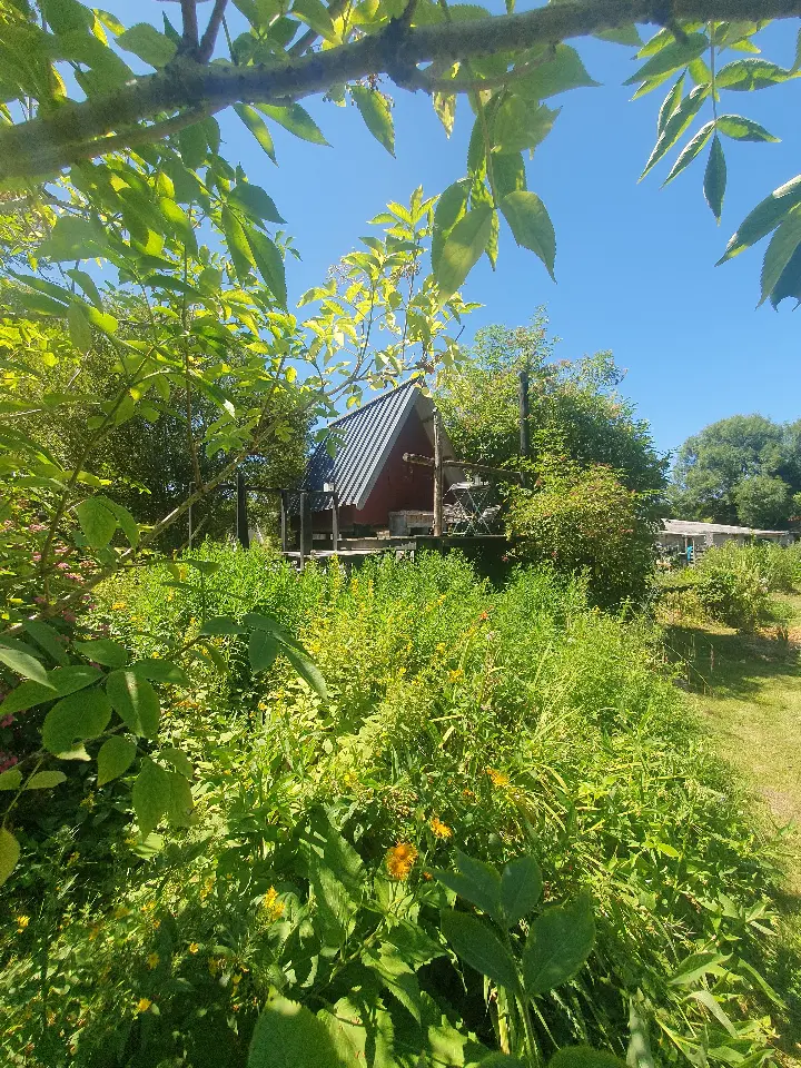 Cabane Nichoir à Saint-Sulpice-la-Forêt, photo 6
