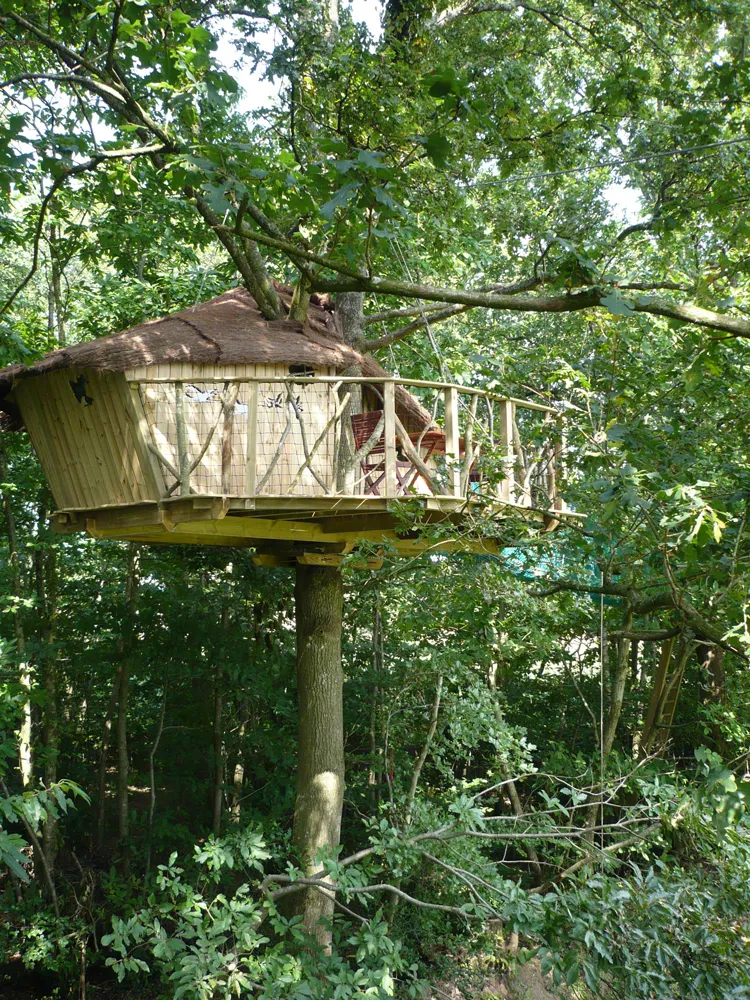 Cabane des Elfes, cabane à La Chapelle-Chaussée