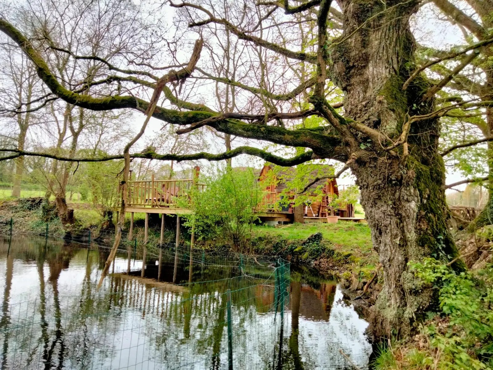 La Cabane bohème à Mauron, photo 3