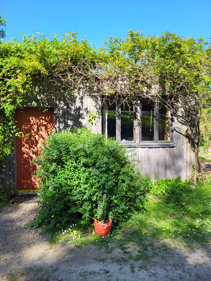 La Cabane dans les bois, cabane à Marzan
