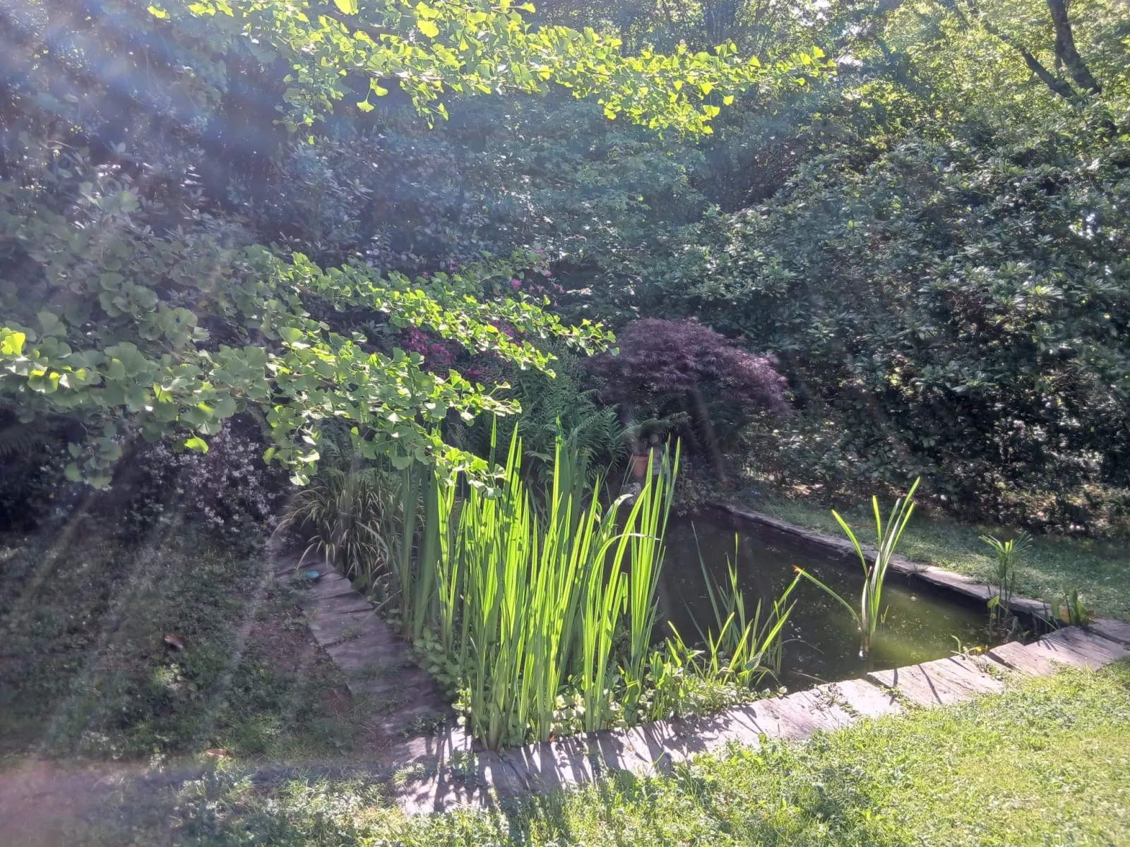 Le Temple Ysambre à Malansac, photo 6