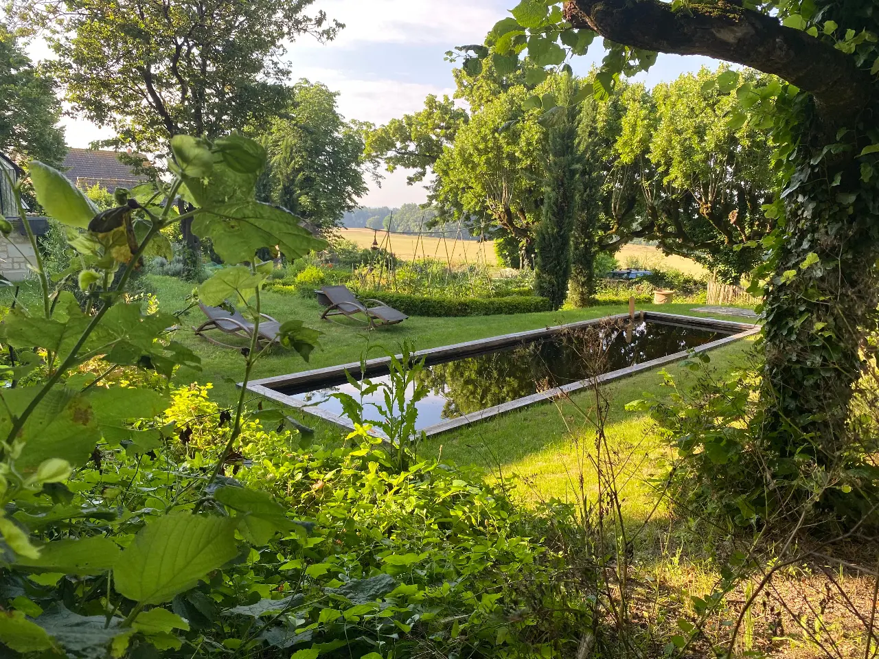 La Tortillère à Marçay, photo 2