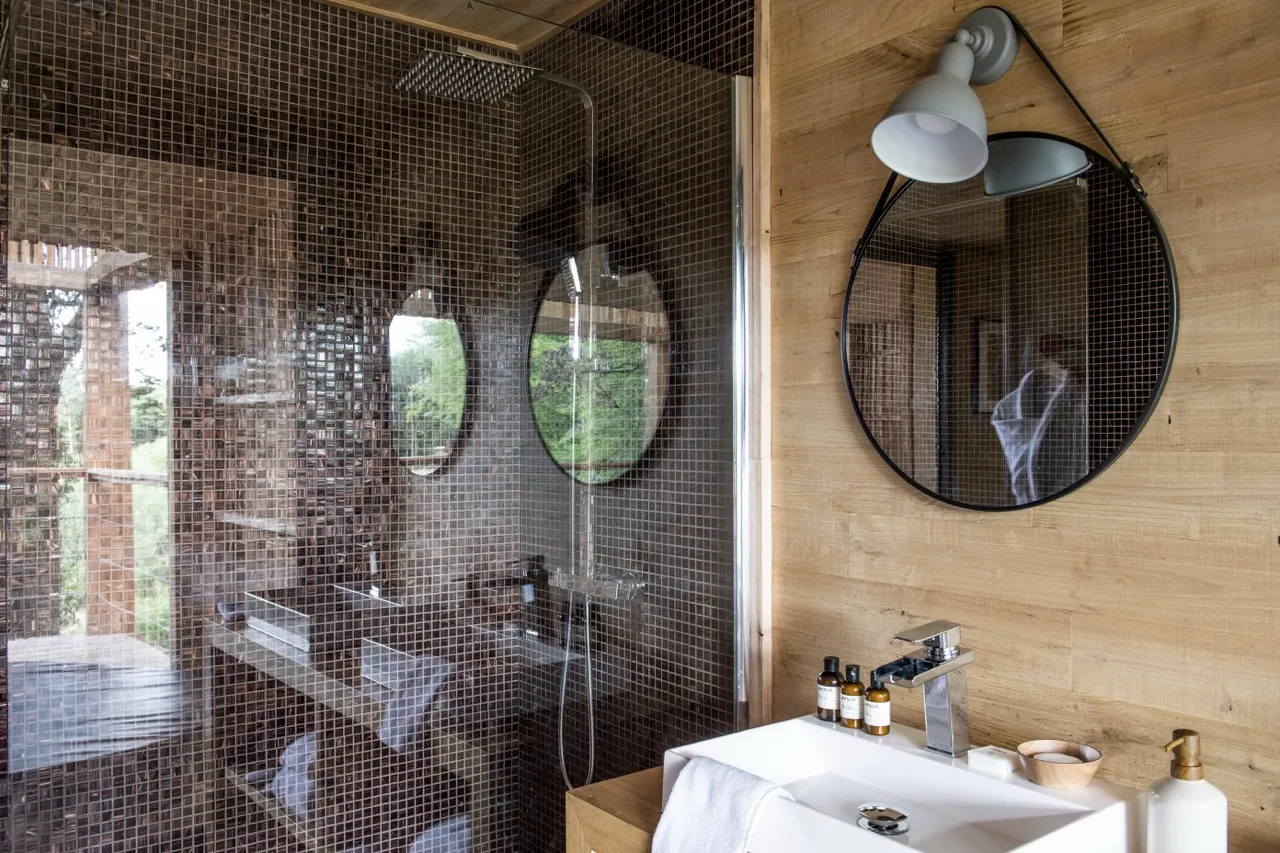 Suite Lucien à Esvres, photo 6