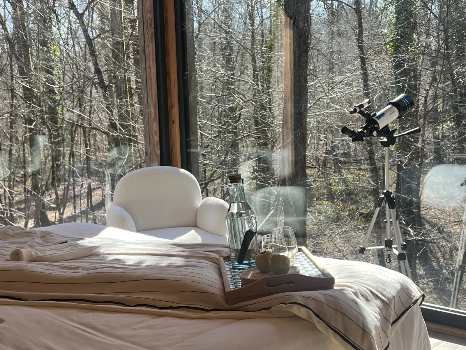 Suite Madame C à Esvres, photo 6