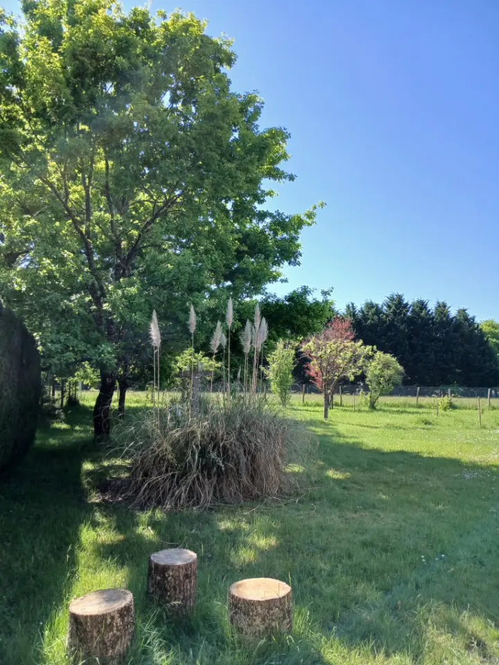 Pods Le Chêne et Le Tilleul à Villefranche-sur-Cher, photo 7